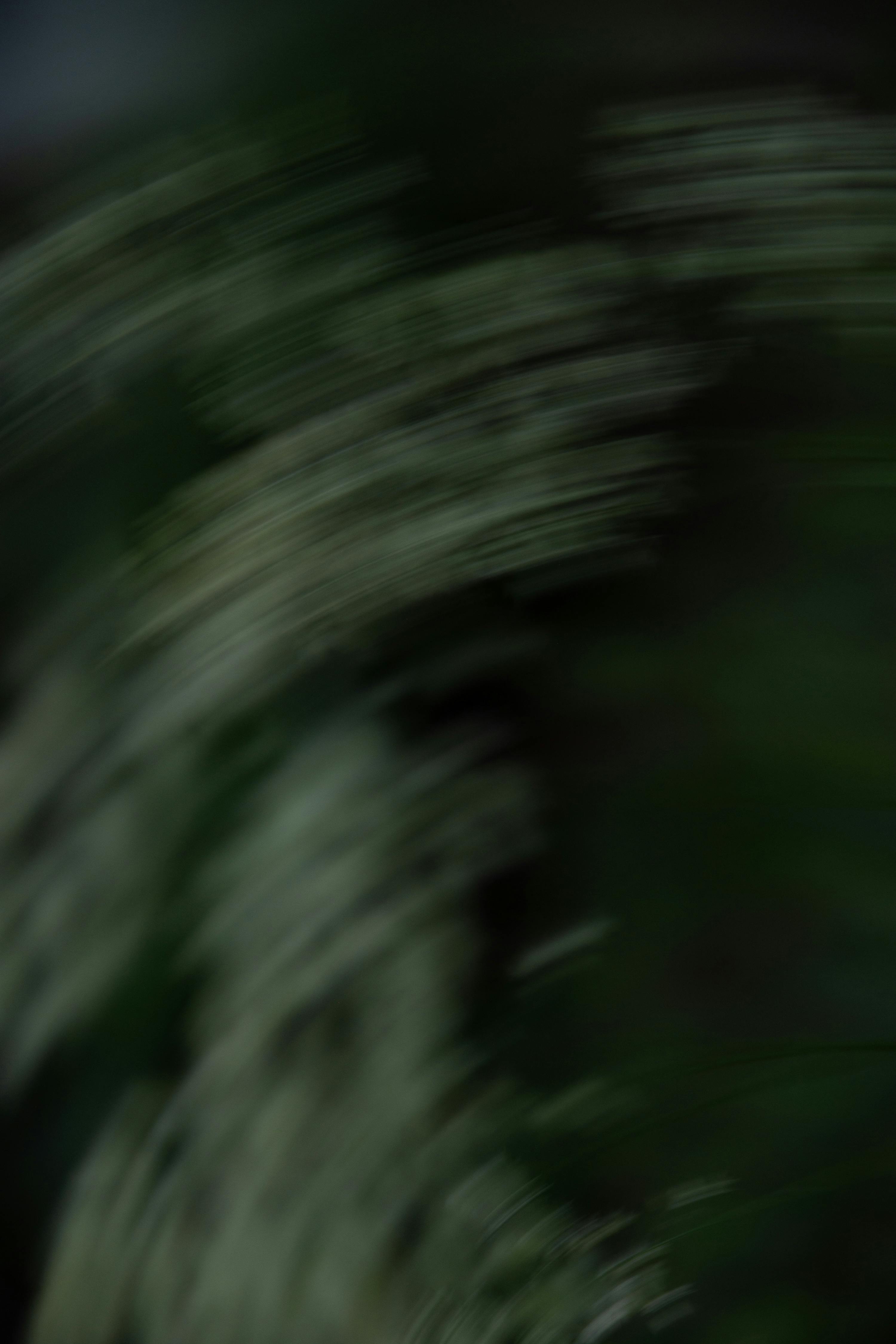 Gratis lagerfoto af abstrakt, abstrakt design, abstrakt kunst Lagerfoto