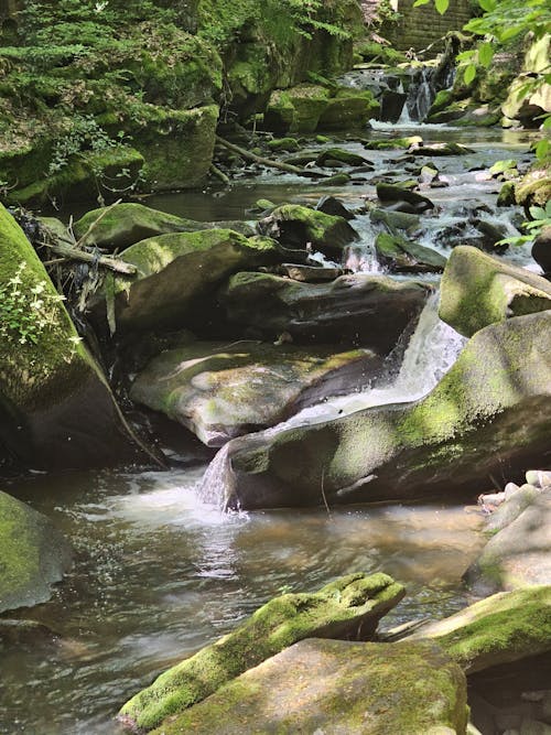 Stream Flowing on Rocks