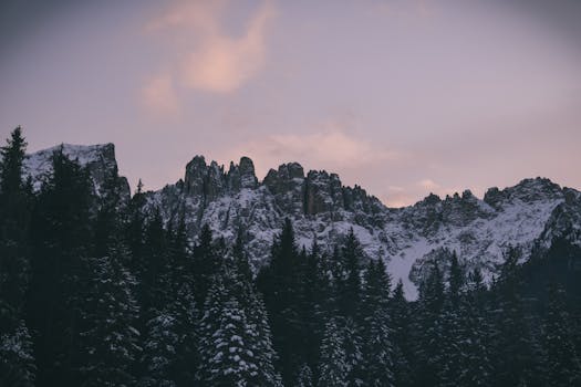 Captivating view of snow-covered mountains and forest under a twilight sky.