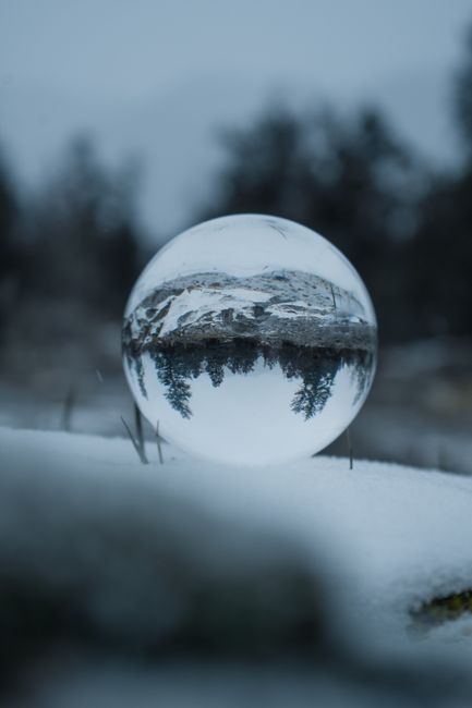 Winter scene with trees reflected in a clear crystal ball on snow.