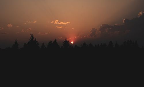 Free A tranquil sunset casting warm hues over a silhouette of coniferous trees. Stock Photo