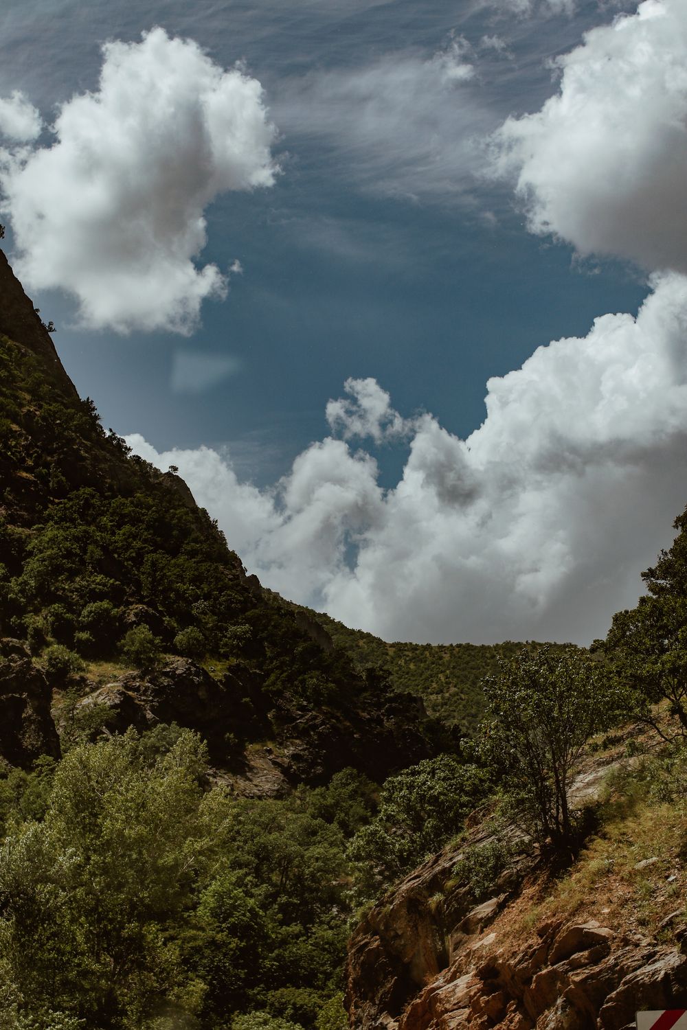 View of Rocky Mountains Covered with Trees · Free Stock Photo