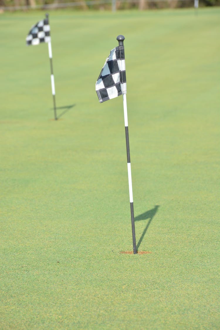 Checkered Flags In Holes On The Golf Course