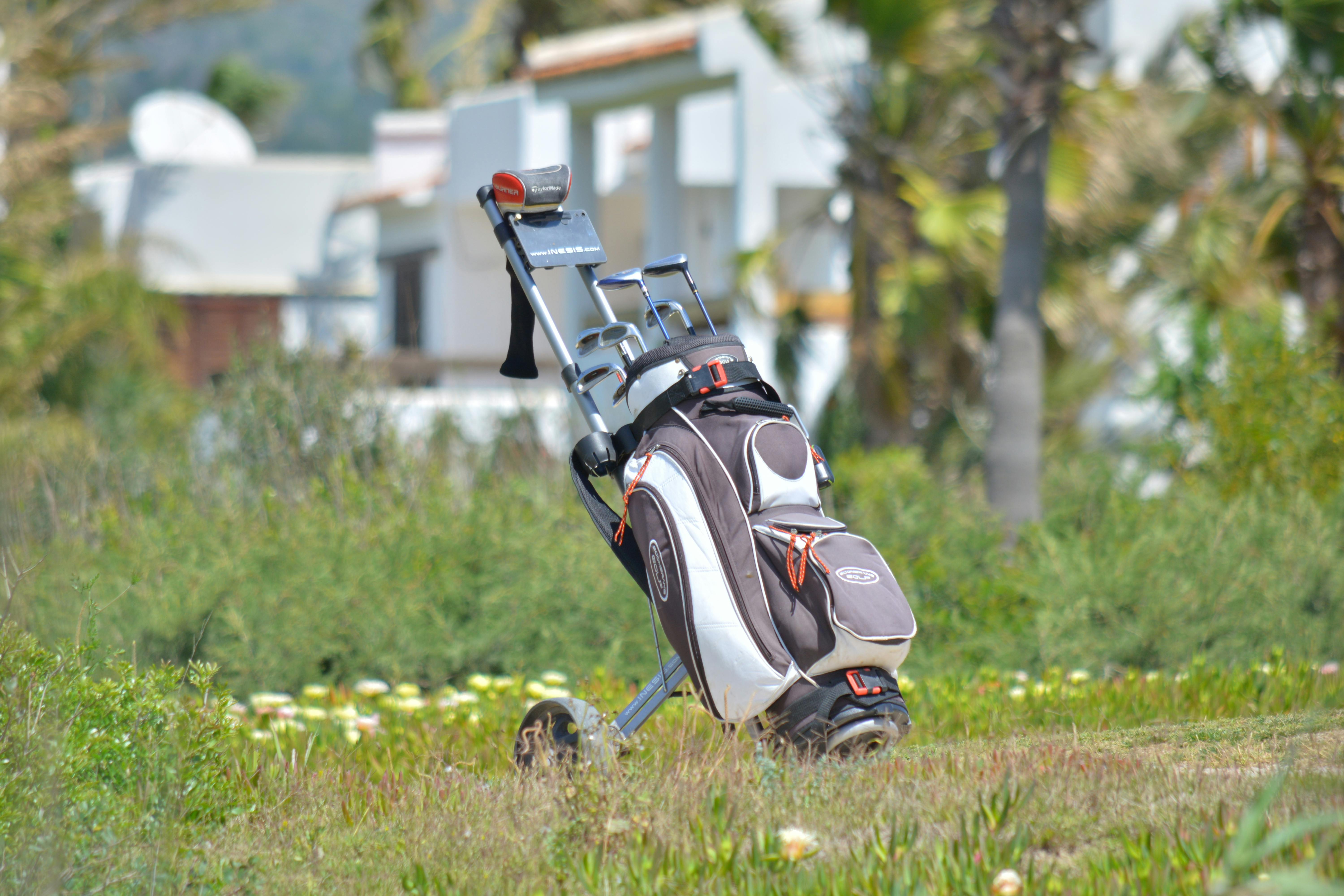 golf bag golf clubs in golf bag on the fairway