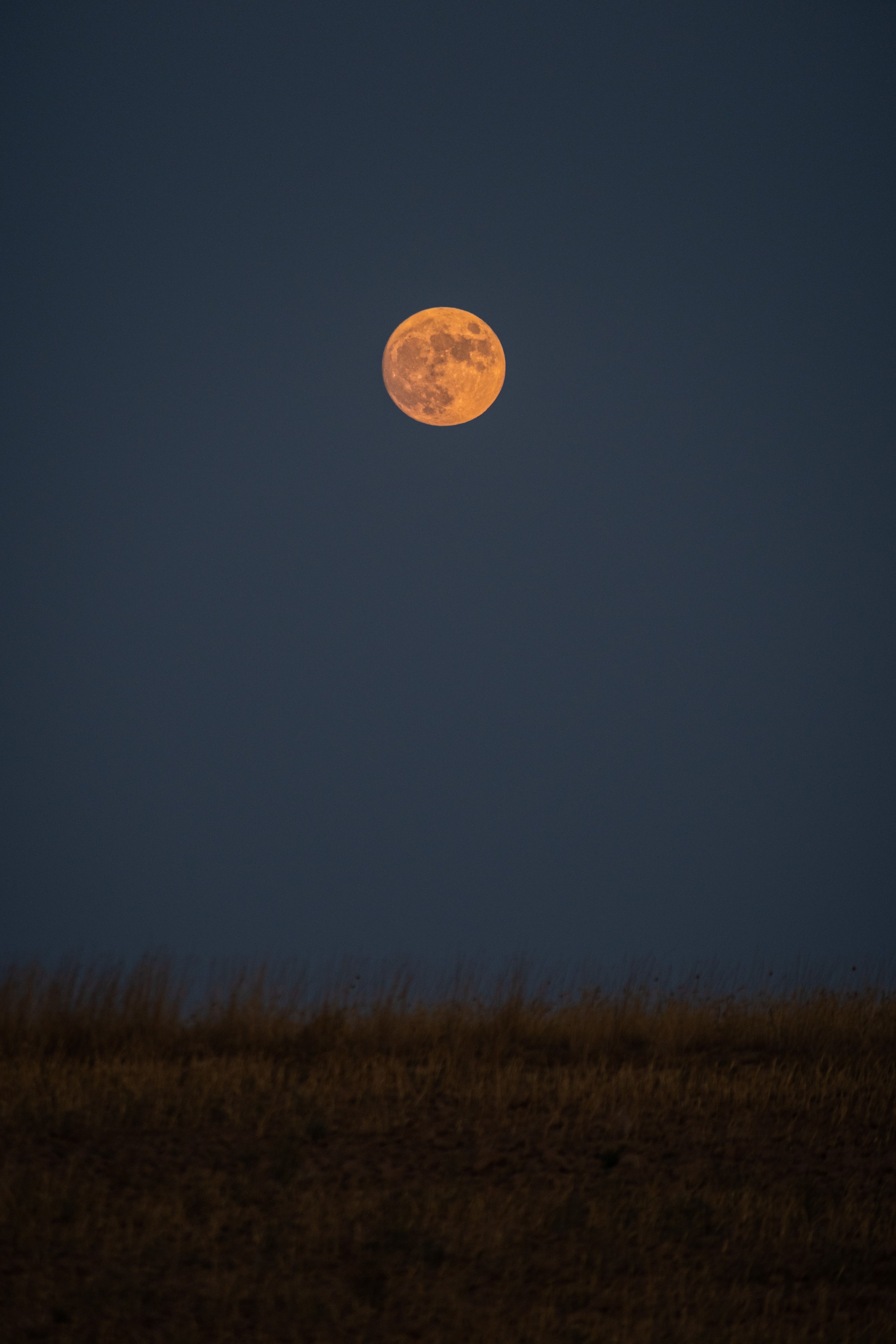A full moon is seen over a field · Free Stock Photo