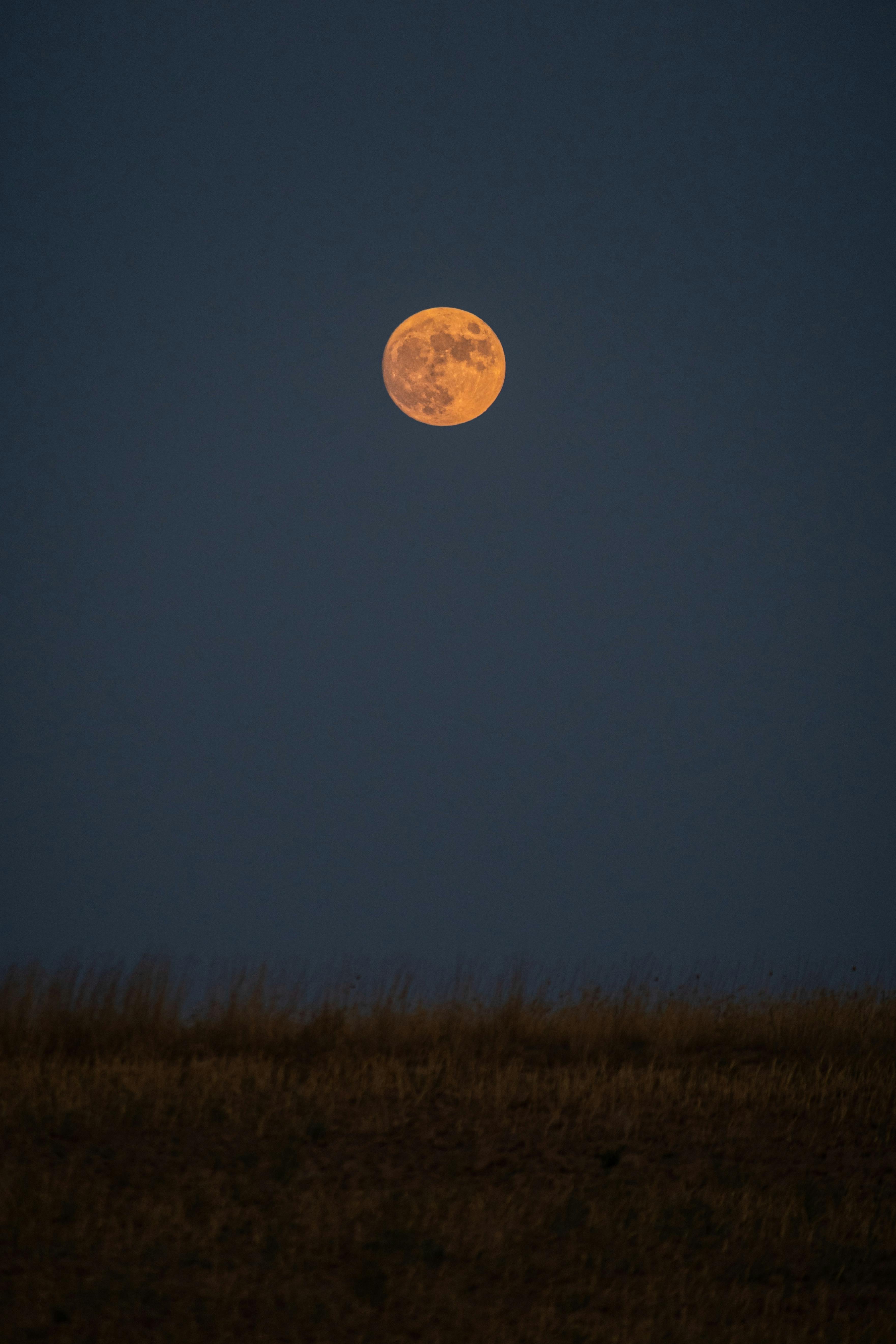 Orange Full Moon · Free Stock Photo