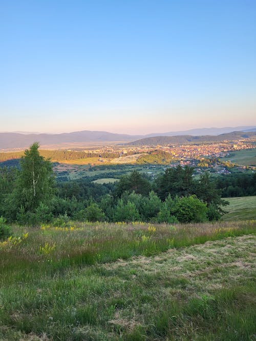 Imagine de stoc gratuită din arbori, câmp, deal