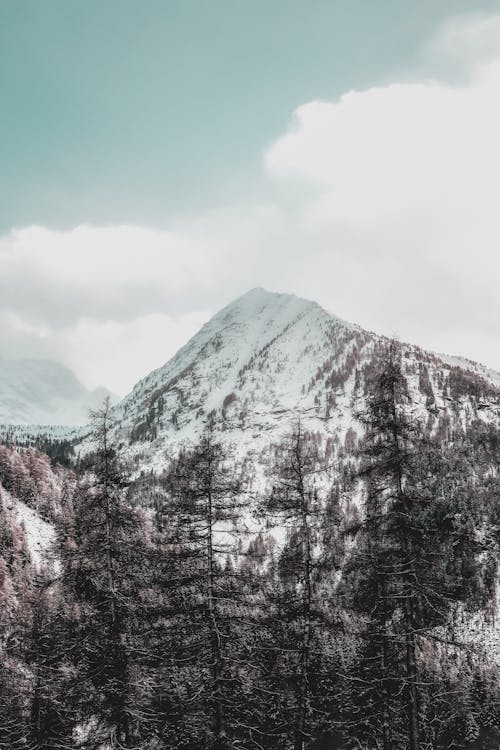 Montaña Cubierta De Nieve