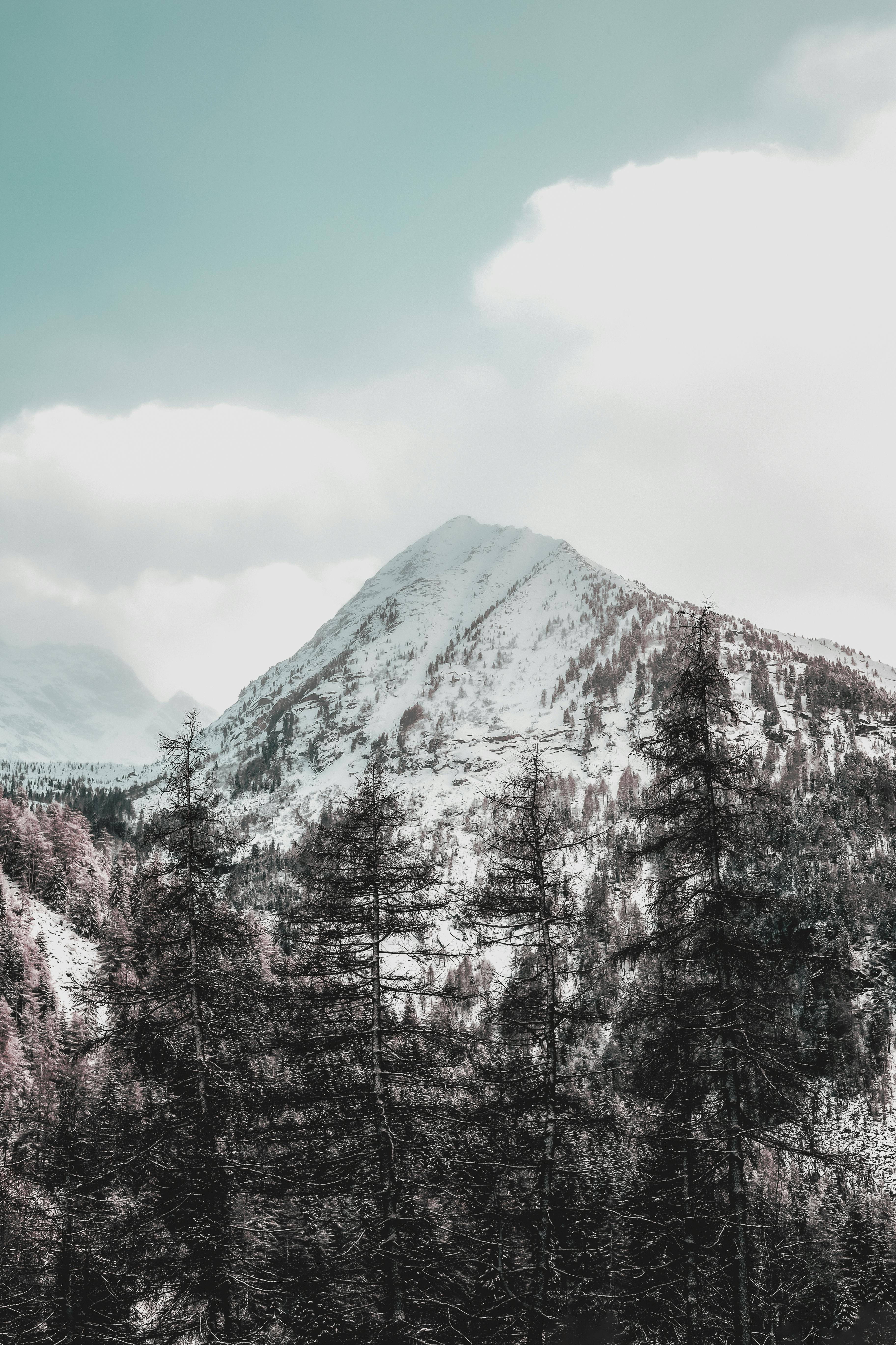 Kostenloses Foto zum Thema: berg, draußen, felsiger berg
