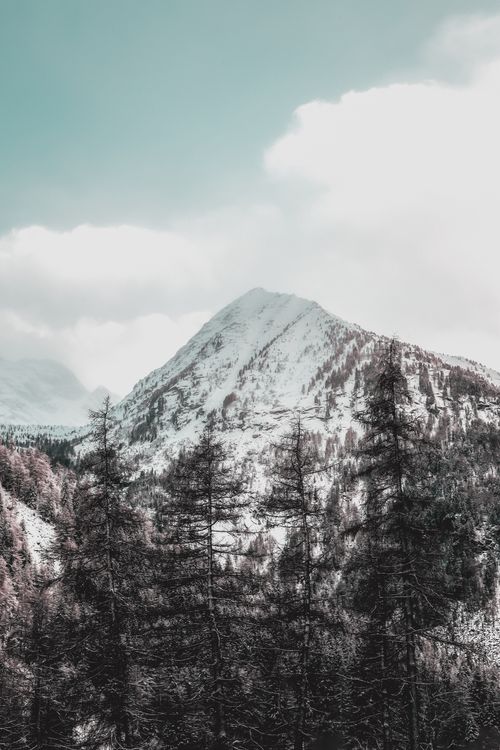 Free A picturesque snowcapped mountain surrounded by winter foliage under a clear sky. Stock Photo