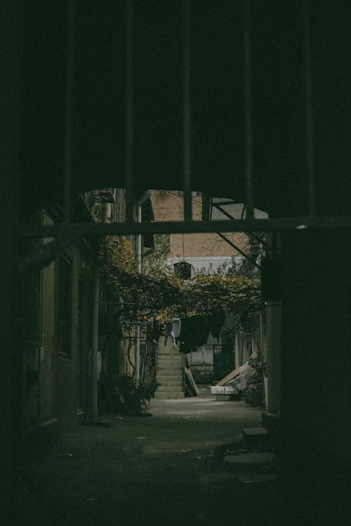 Dark Alley with Hanging Laundry and Vines