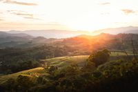 Post photo — Christian Buergi on Pexels