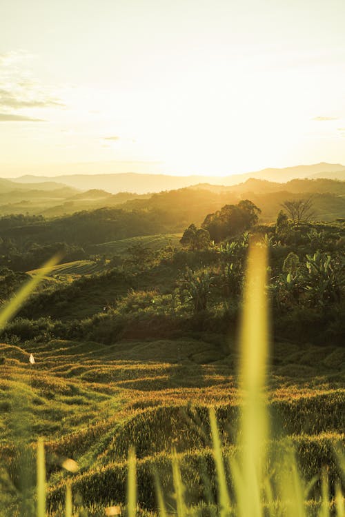 Foto d'estoc gratuïta de agricultura, camps, muntanyes