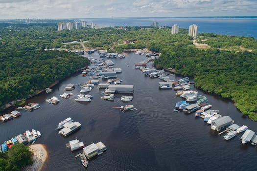 Manaus Rainforest Lodge, Brazil photo 11
