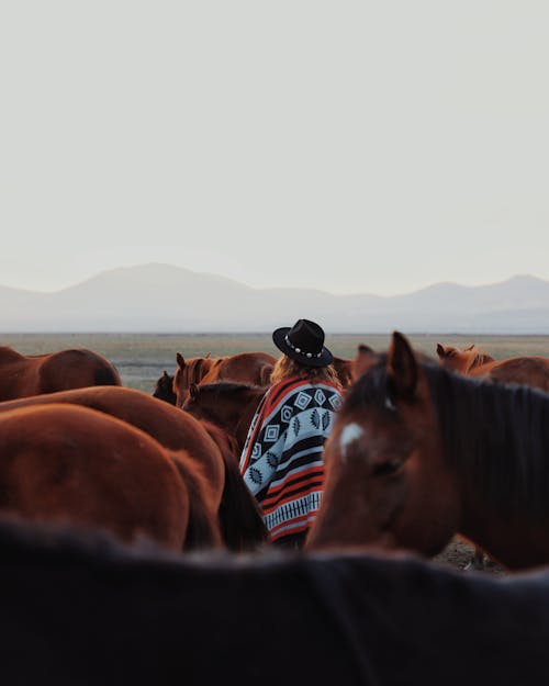 Woman Standing among Horses