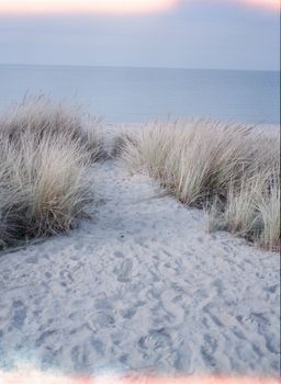 A peaceful path through coastal grass leading to the sea in Copenhagen, Denmark.