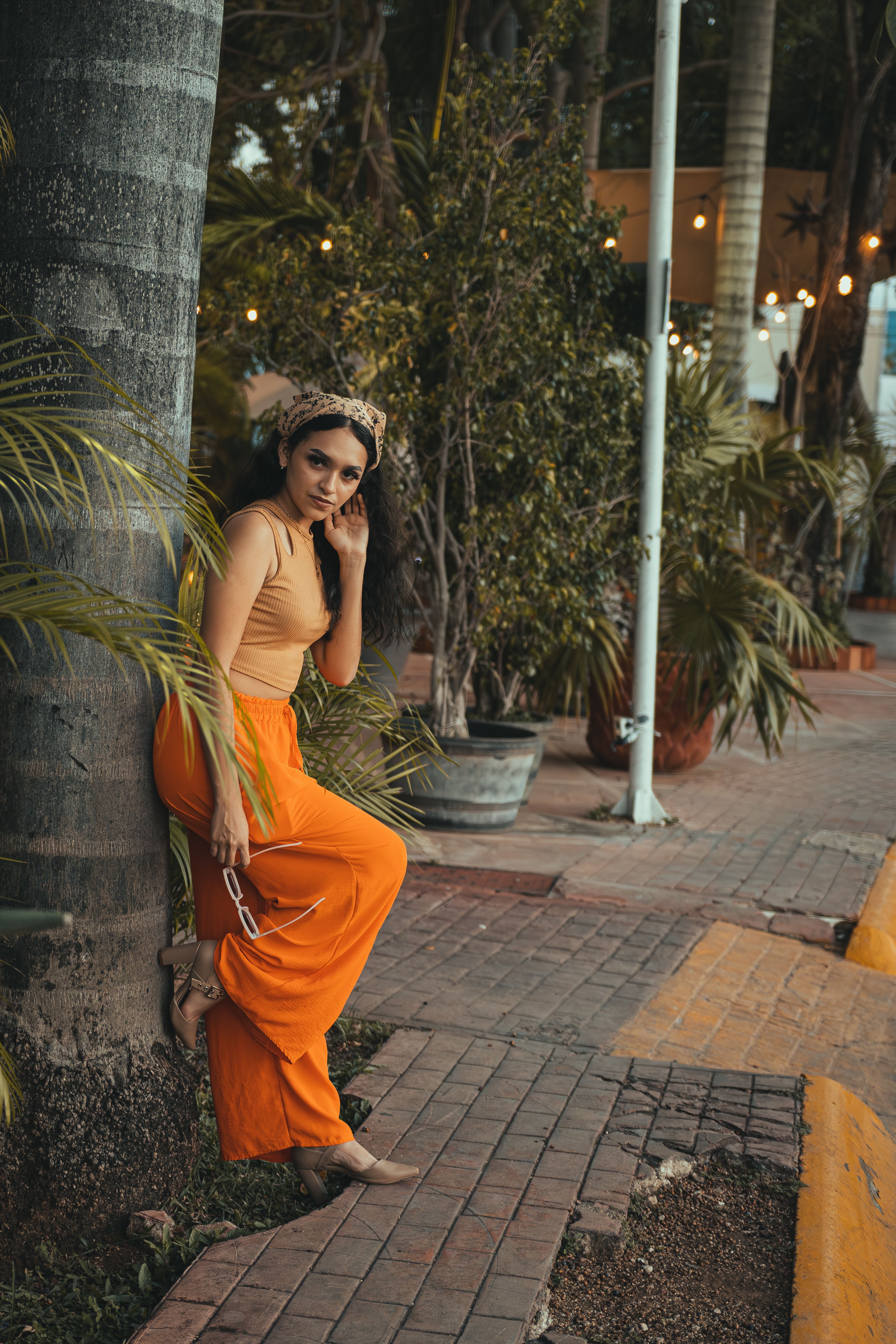 A Woman Posing Against Palm Trees · Free Stock Photo