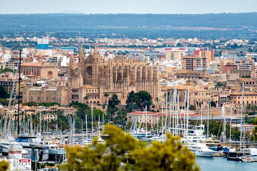 View of Palma City and a Harbor 