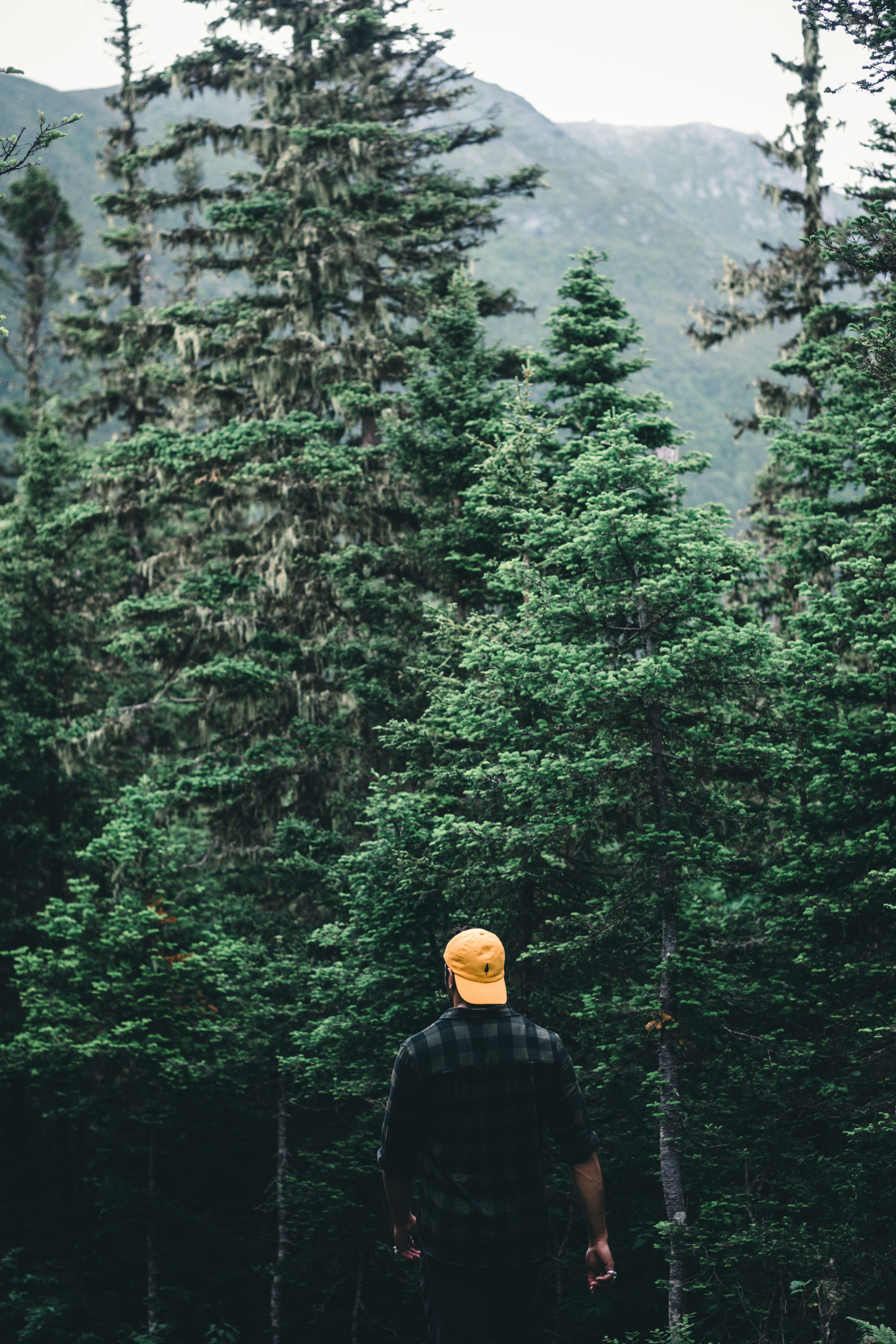 Man in a yellow cap hikes through a forest in Gaspé, QC with scenic mountain backdrop.