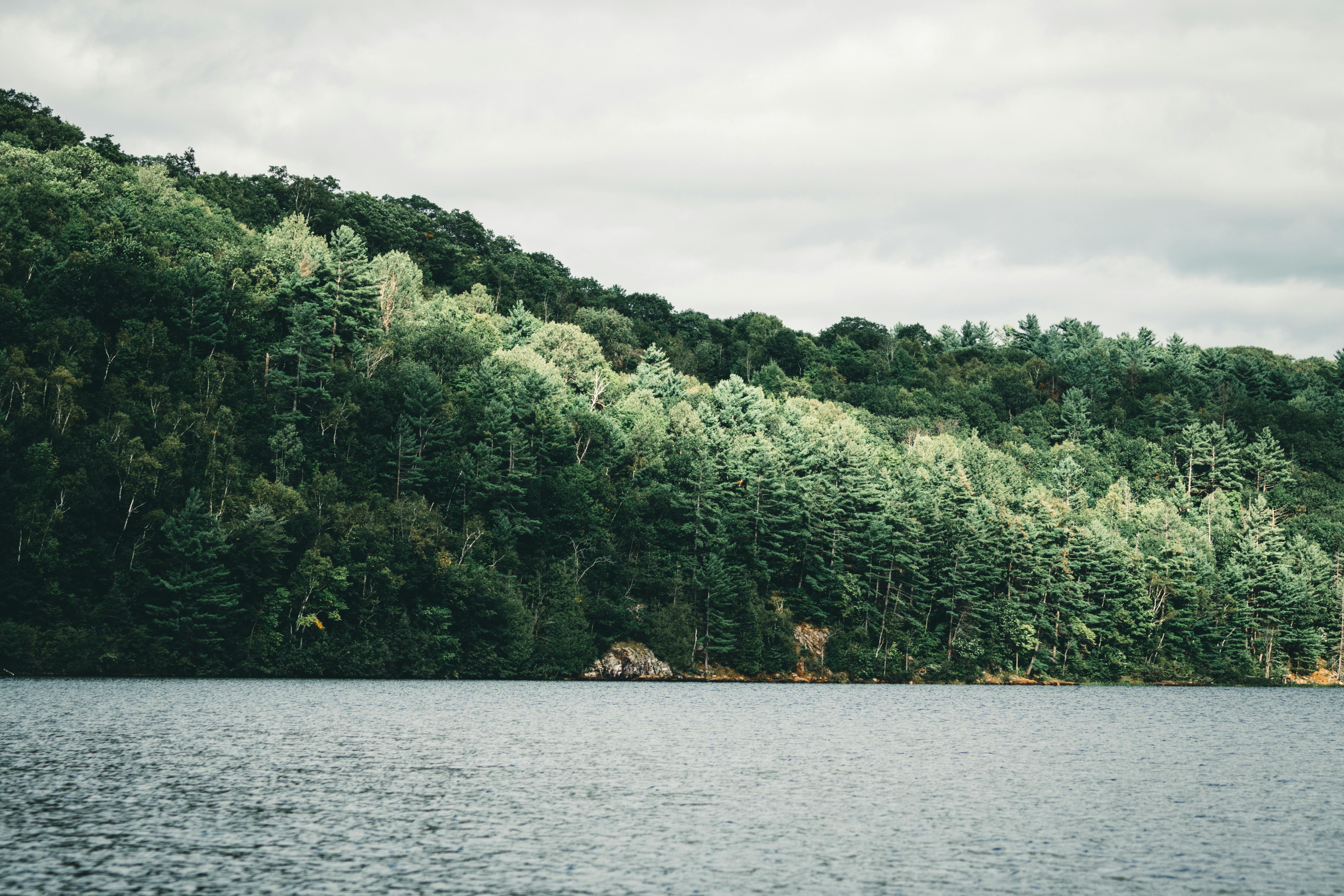 Long Lake Agrees to Acquire American Express Global Business Travel, the World’s Largest Corporate Travel Platform, for $6.3 