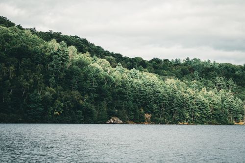 Free Tranquil view of Calabogie Lake surrounded by lush forest, perfect for nature lovers. Stock Photo