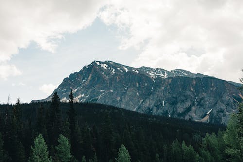 Sceic VIew of a Mountain Range and a Forest 