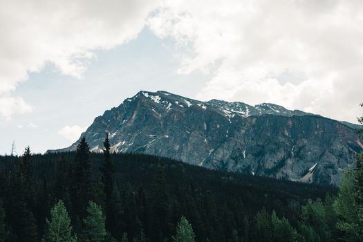 Serene view of the Rocky Mountains and forest in Jasper, Alberta.
