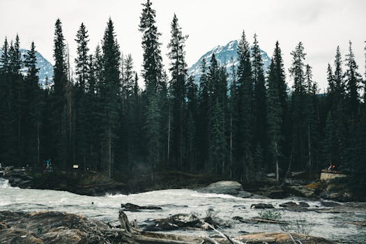 Scenic view of Jasper National Park with river and evergreen trees under cloudy sky.
