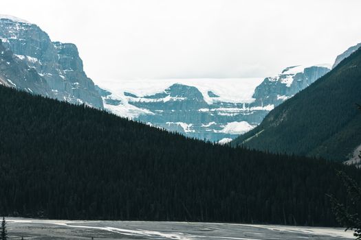 Breathtaking view of snow-capped mountains and dense forest in Jasper, Alberta, Canada.