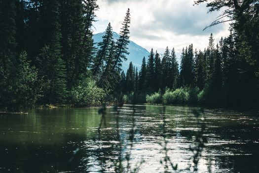 Serene view of a river flowing through lush forest with a mountain backdrop in Jasper, Alberta.