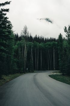 Curved road through lush forest in Jasper, Canada, with misty mountains visible. Perfect for travel and nature themes.
