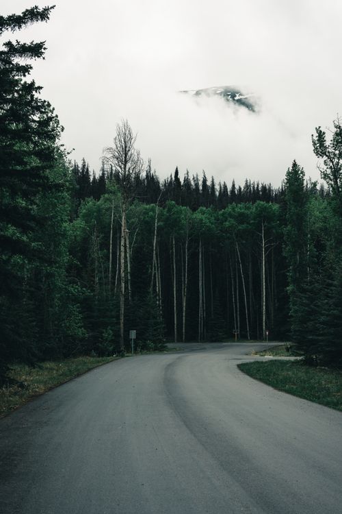 A road with trees and clouds in the background · Free Stock Photo