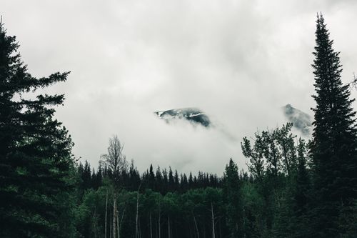 Free Scenic view of misty mountains and dense forest in Jasper, Alberta, Canada. Stock Photo