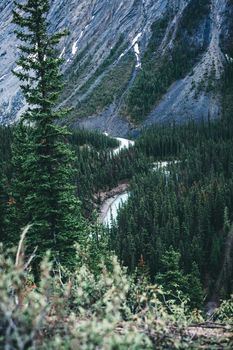 Stunning winding river through lush forested mountains in Jasper, Canada.