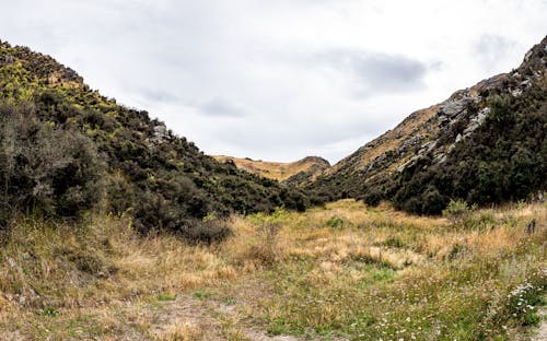 View of a Grass Field in a Mountain Valley 