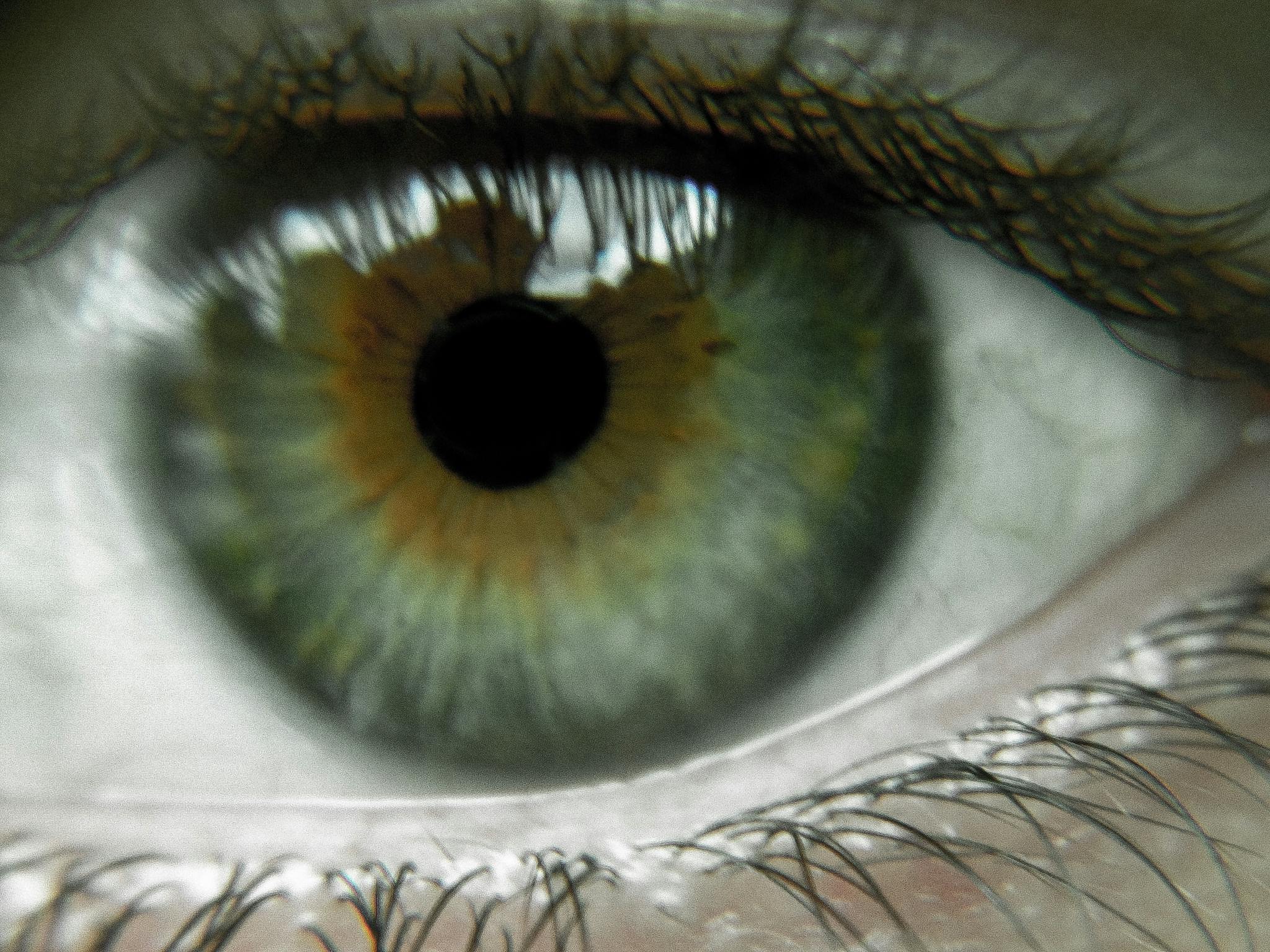 Free stock photo of eye, green eye, human eye