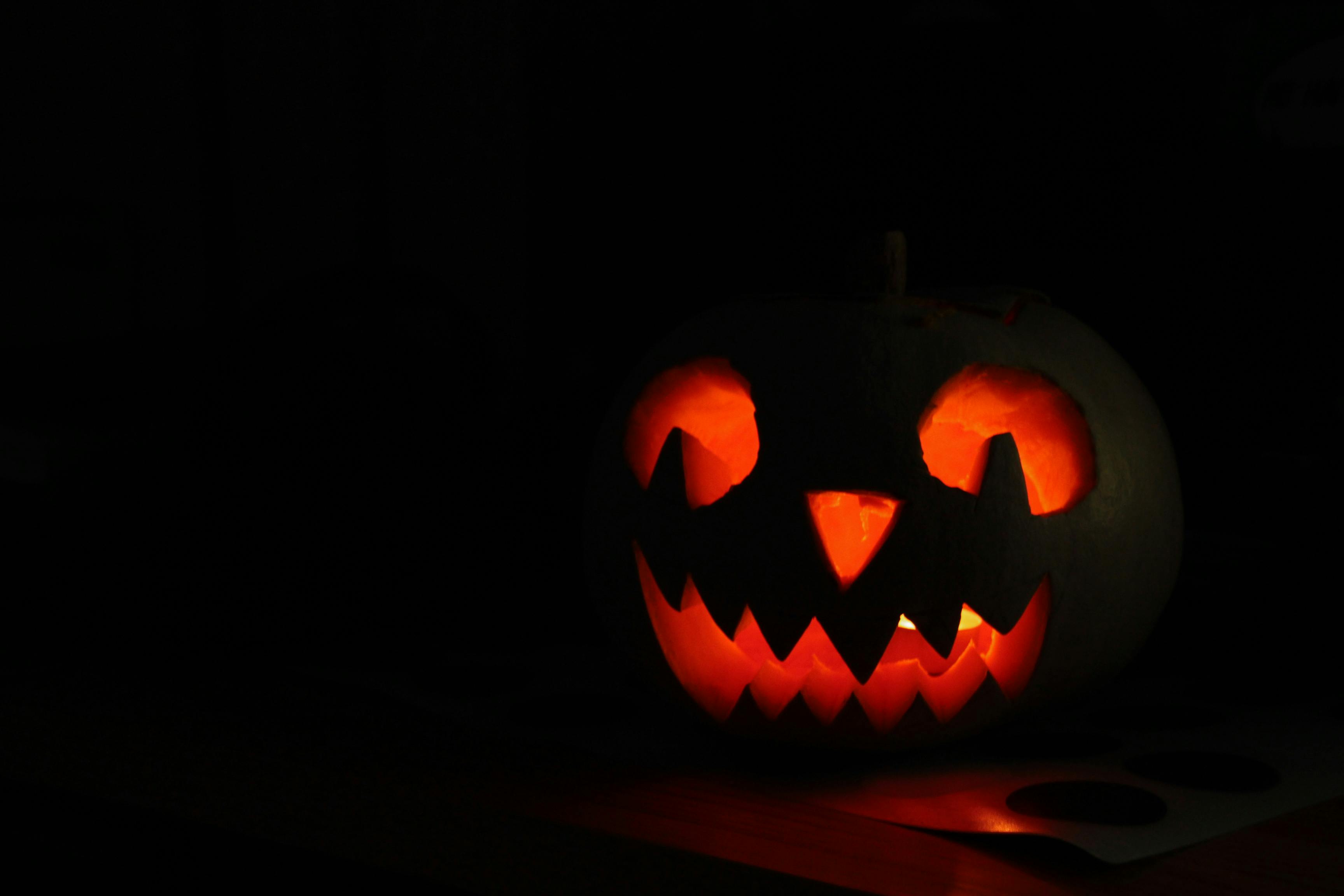 Free stock photo of halloween pumpkin