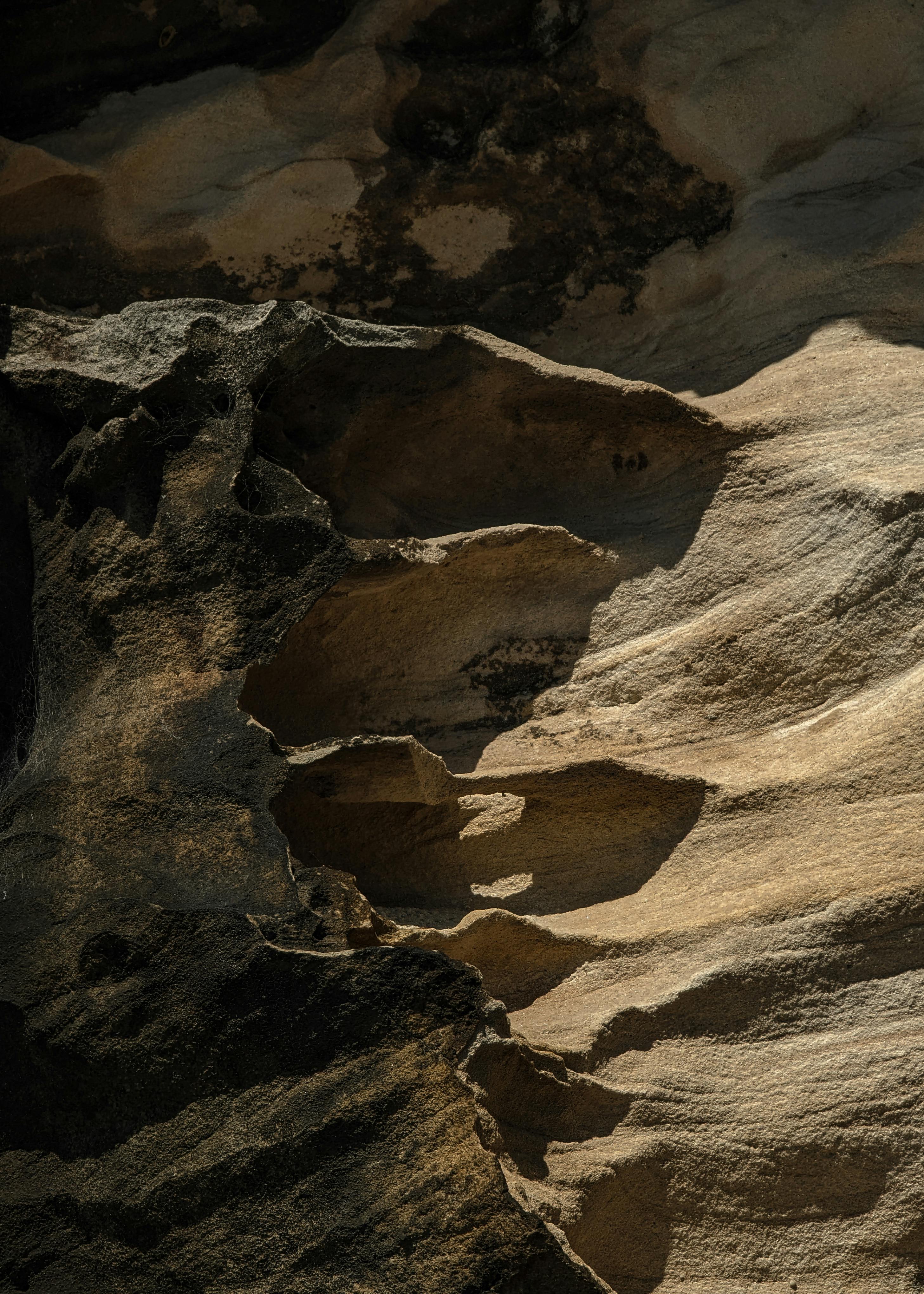 A close-up shot of an eroded rock surface, showcasing natural textures and sunlit patterns.
