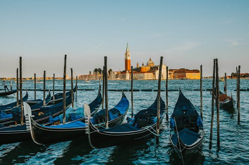 Gondolas Moored in Venice