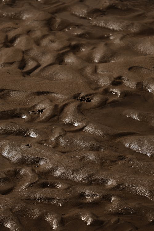 Close up of Mud
