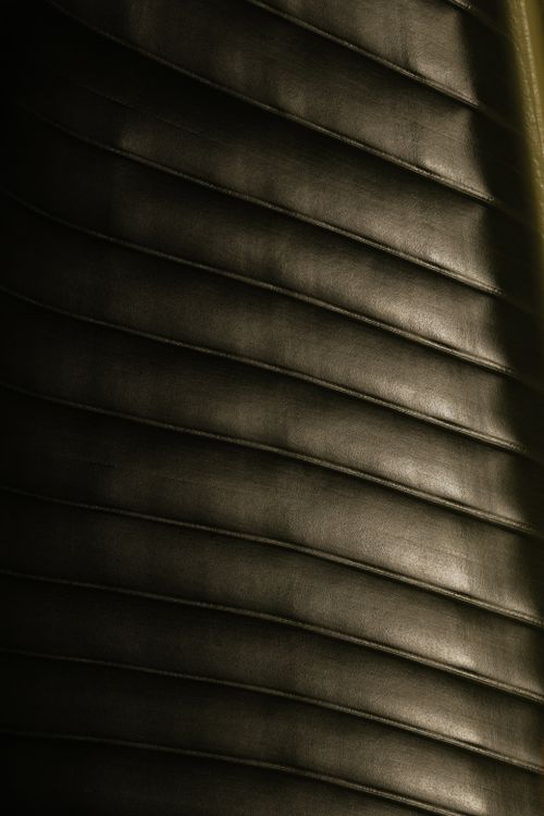 Free Detailed extreme close-up showcasing the texture and pattern of a dark plant leaf. Stock Photo