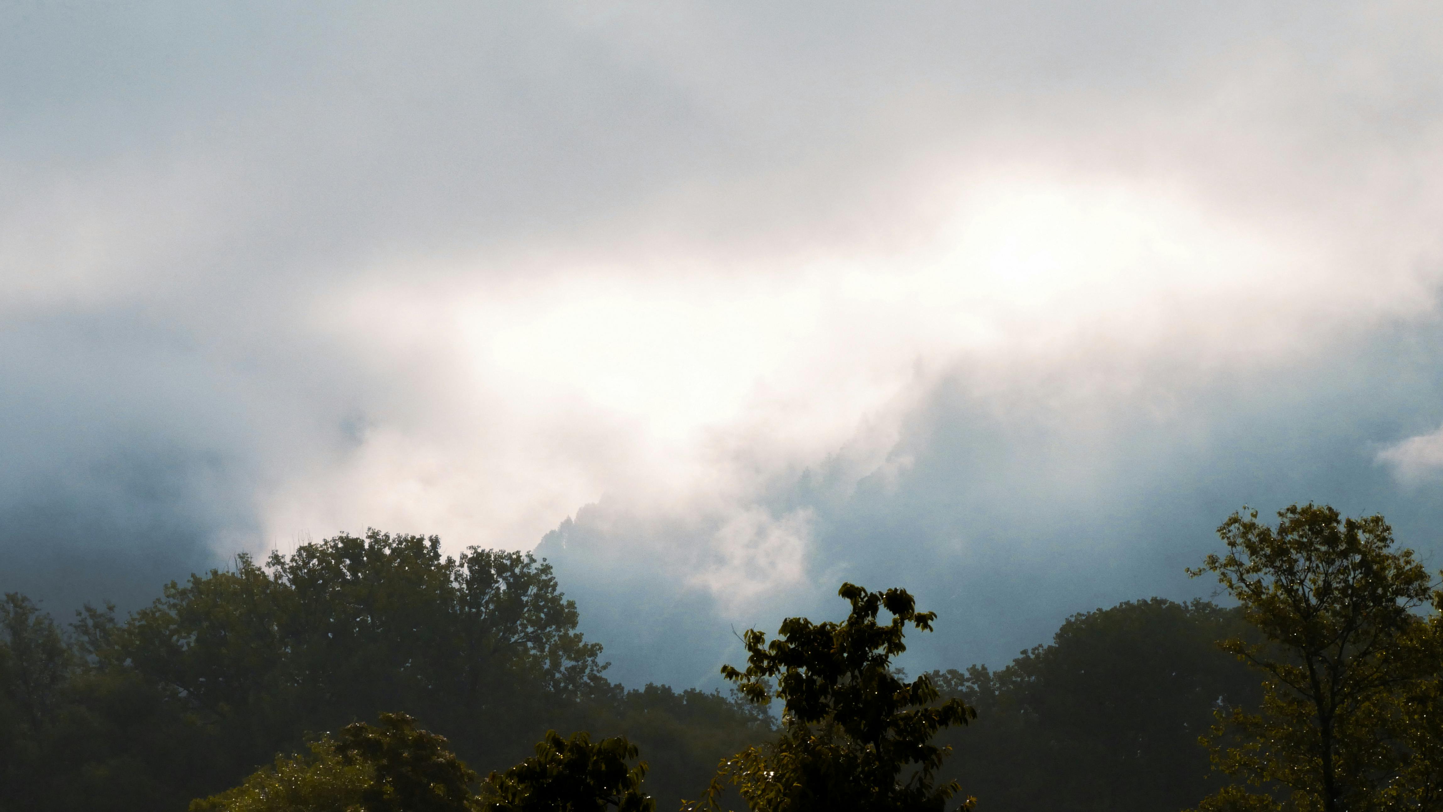 Mother Earth 71 Photos & Videos Collected by RECALL FROM THE FUTURE