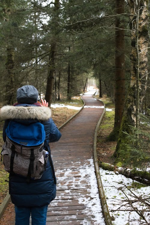 Základová fotografie zdarma na téma lesní cesta, osvětlený, pěší turistika