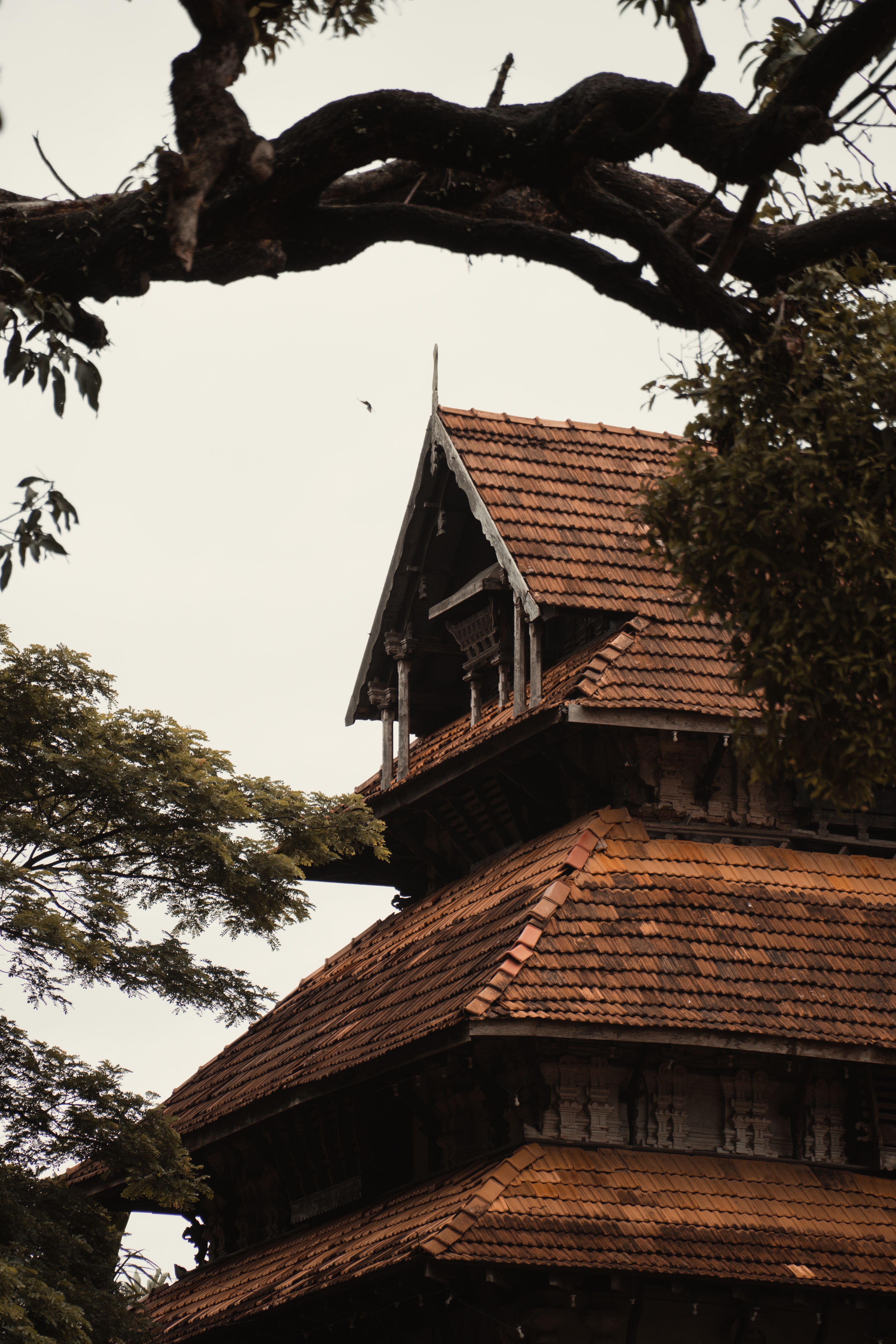 Old Rural House with Holes in Roof · Free Stock Photo