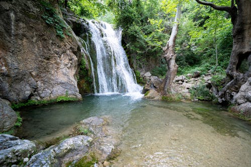 Scenic View of a Waterfall 