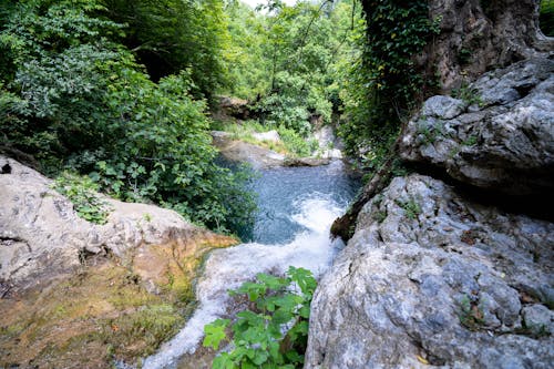 Rocks around Stream in Forest