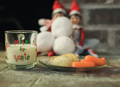 Free stock photo of christmas cookies, elves, milk