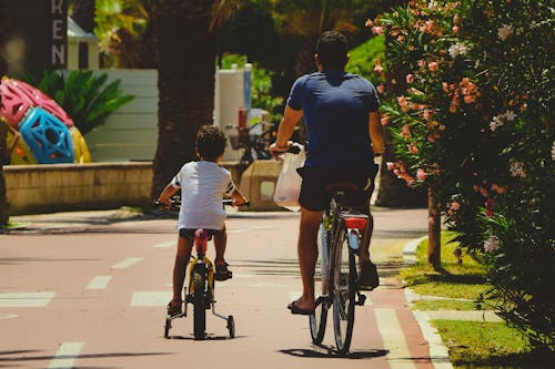 Back View of Father and Son Cycling Together