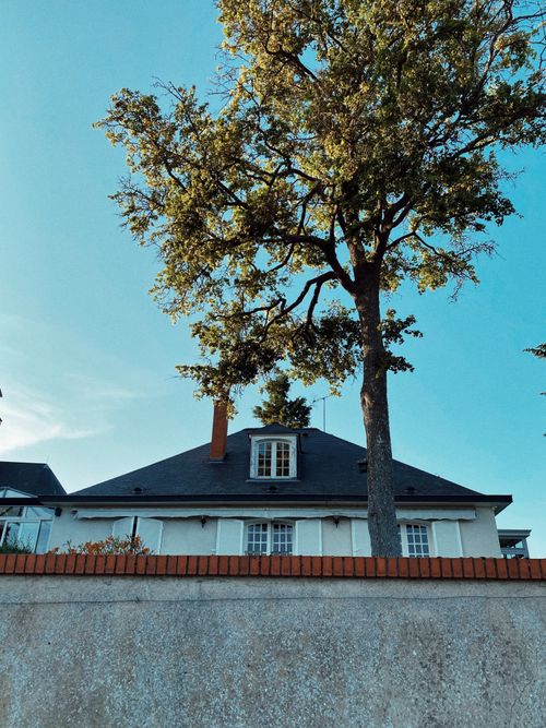 Free A charming house with a large tree in front, set against a clear blue sky, radiating tranquility. Stock Photo