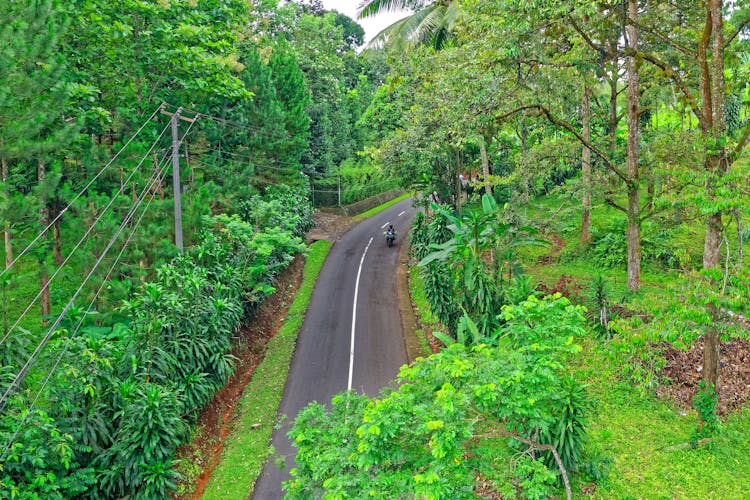 Motorcycle On Grey Road Between Green Trees Aerial Photography